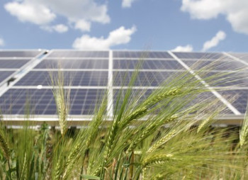 Solar Power Plant Projects in Ukraine
